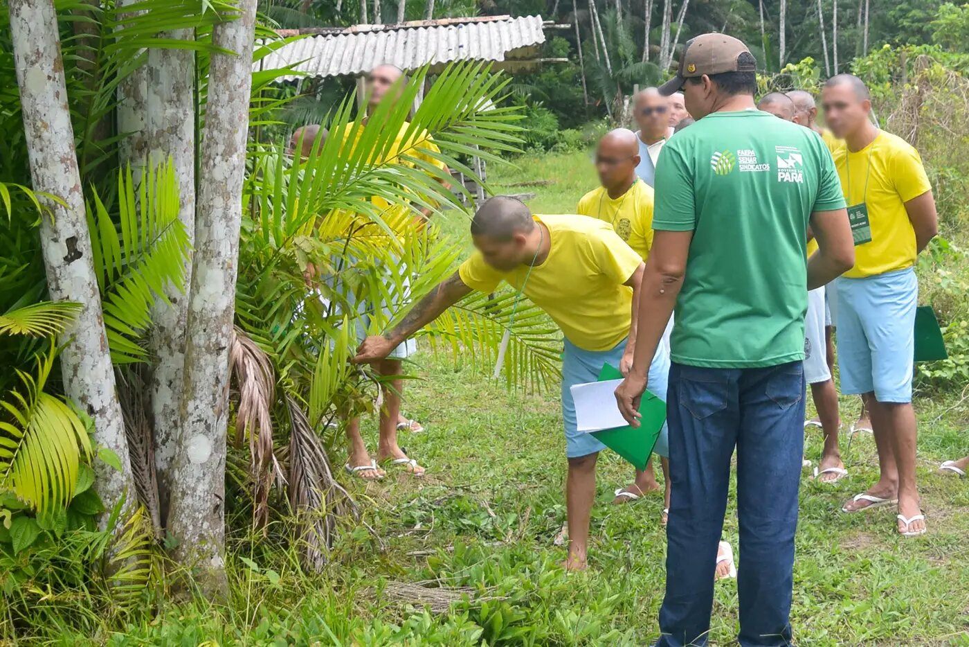 Curso de cultivo de açaí capacita internos da Seap e reforça compromisso do Estado com a bioeconomia