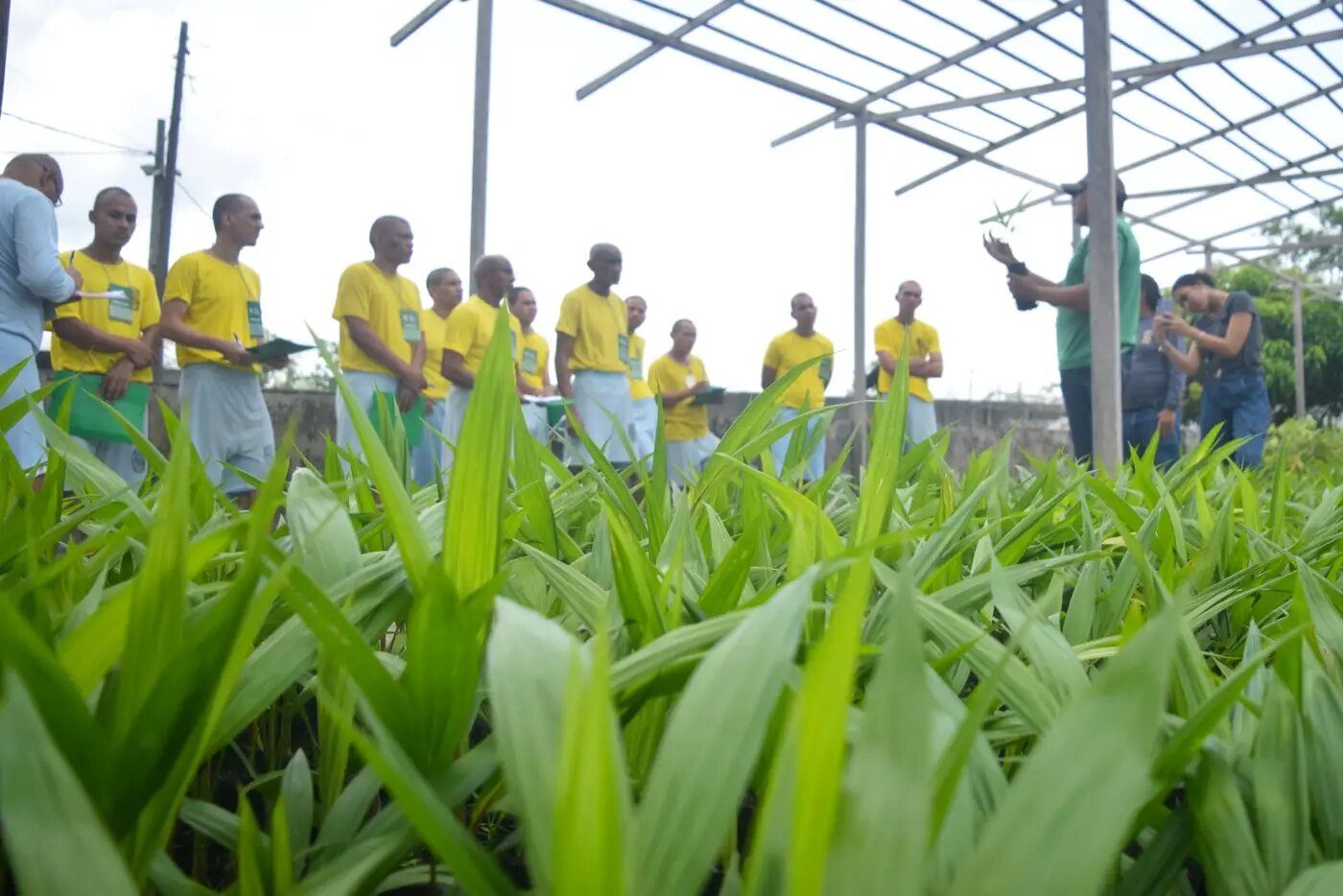 Foto: Elielson Modesto