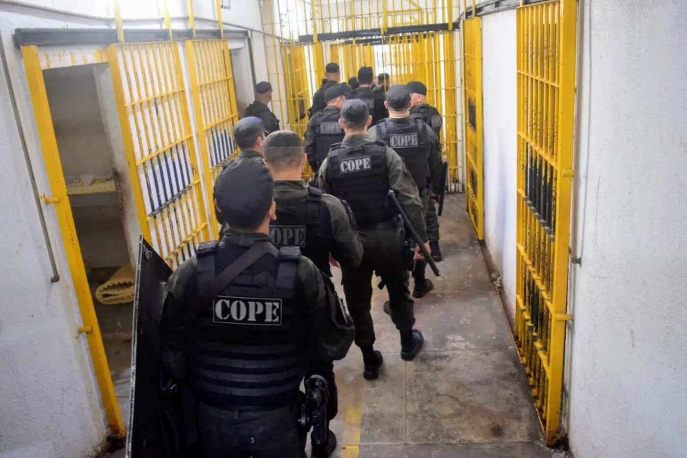 Foto: Rodrigo Pinheiro / Ag.Pará