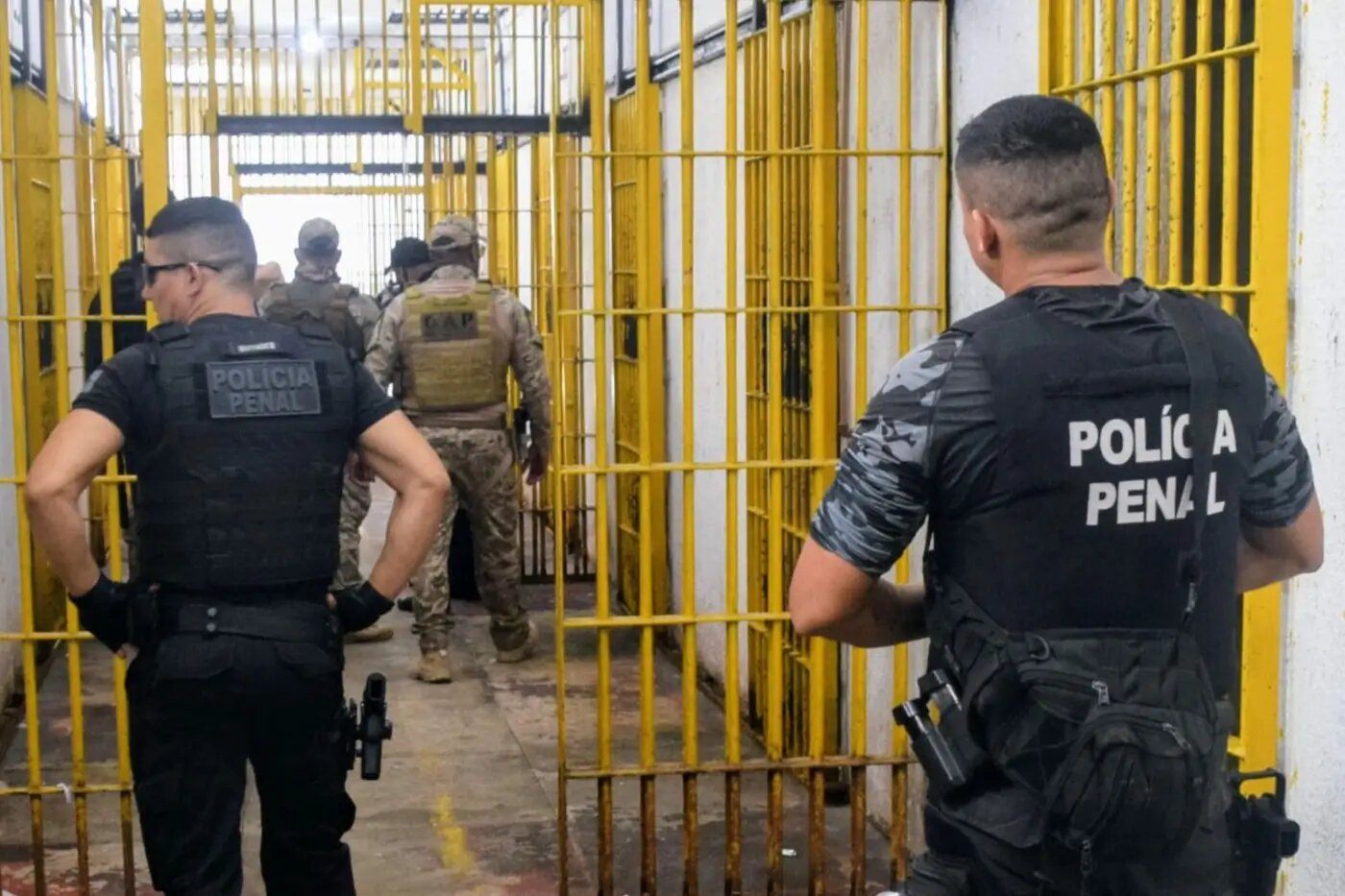 Foto: Rodrigo Pinheiro / Ag.Pará