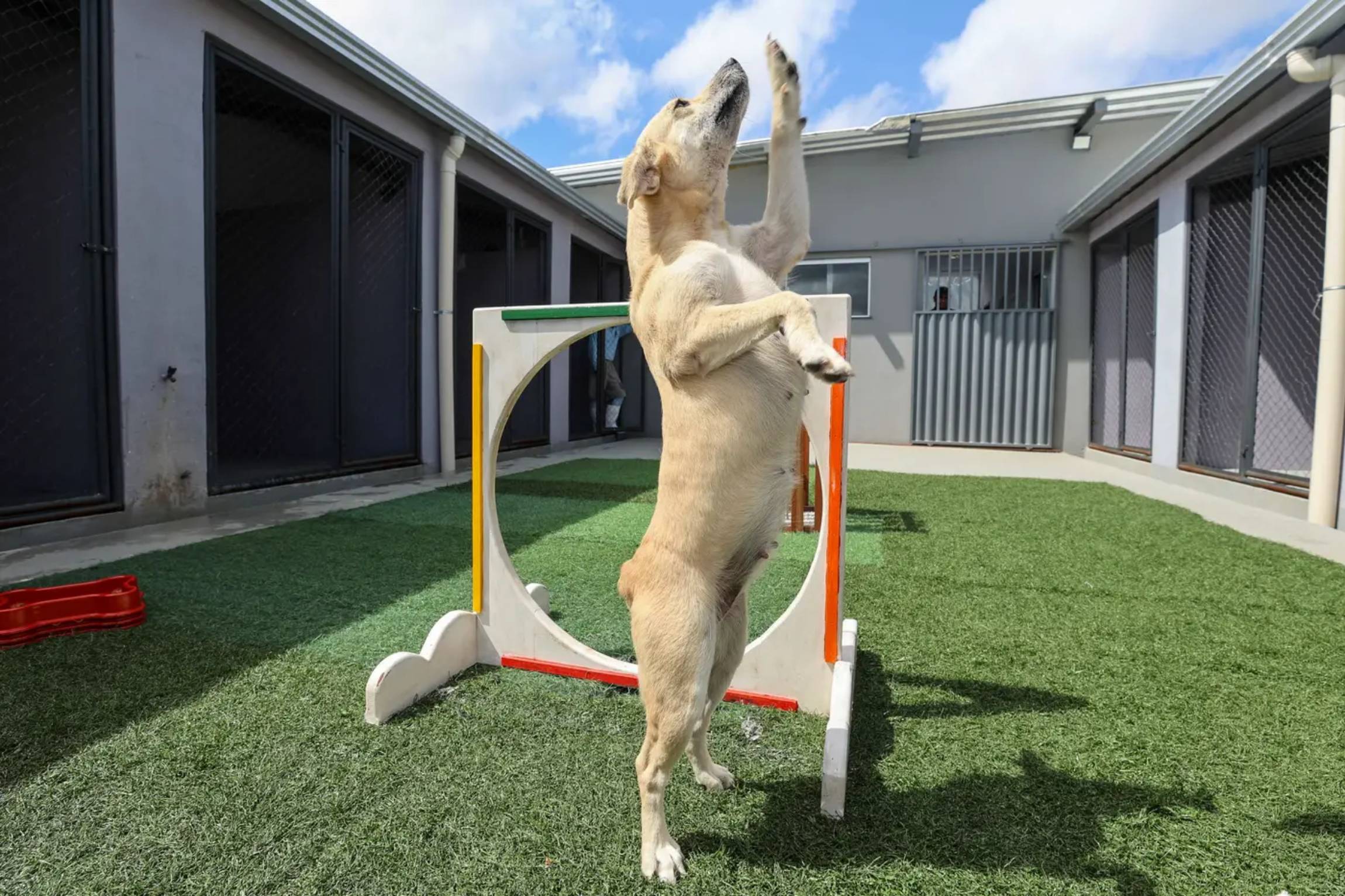 Foto: Bruno Cruz/Ag. Pará