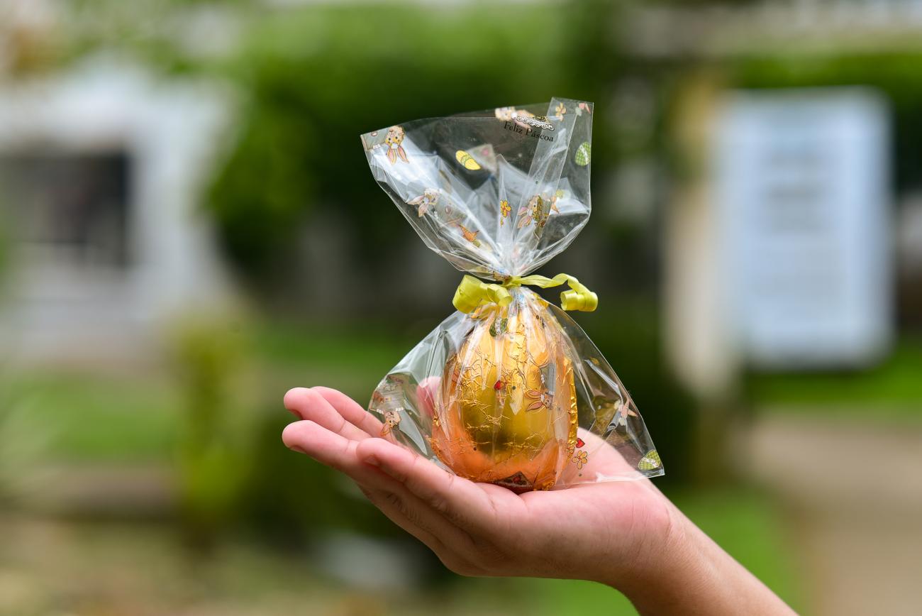 Foto: Uchoa Silva /NCS Seap