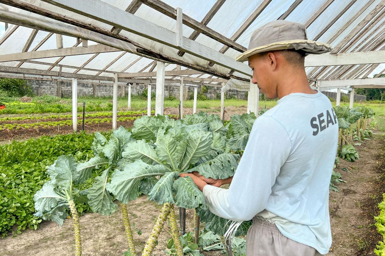 Flávio Lobo / NCS Seap