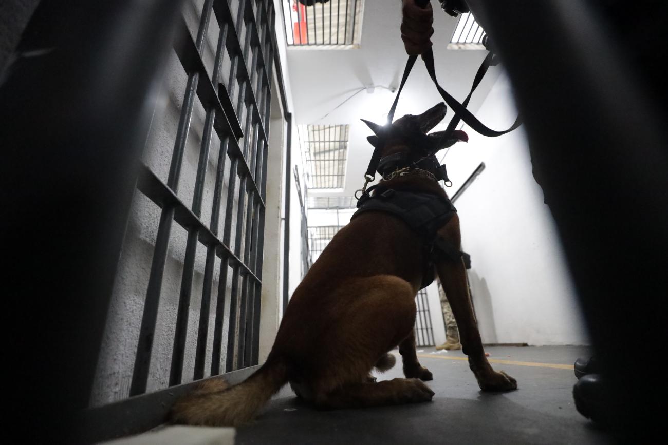 Foto: Pedro Guerreiro / Ag. Pará