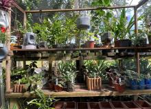 Foto: Flávio Lobo - SEAP/PA