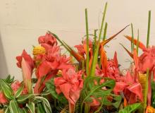 Foto: Flávio Lobo / NCS Seap PA