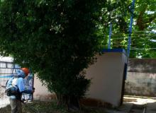 Foto: Márcio Sousa / NCS Seap Pará  