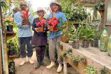 Flávio Lobo / NCS Seap