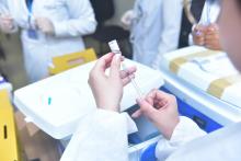 Foto: Uchoa Silva /NCS Seap