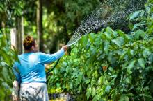 Uchoa Silva / NCS Seap