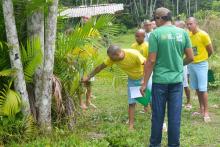 Curso de cultivo de açaí capacita internos da Seap e reforça compromisso do Estado com a bioeconomia